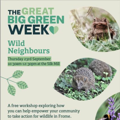 Wild Neighbours